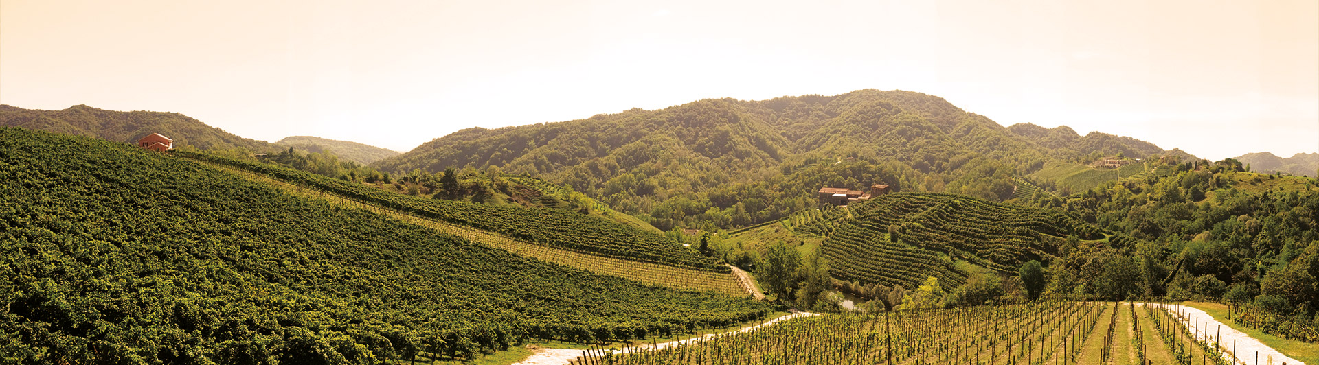 il-terreno-duca-di-dolle