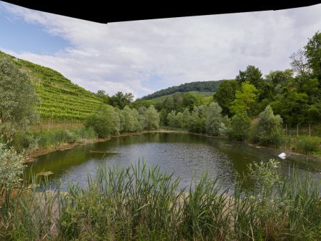 DOCG Prosecco Hills Driver Tour