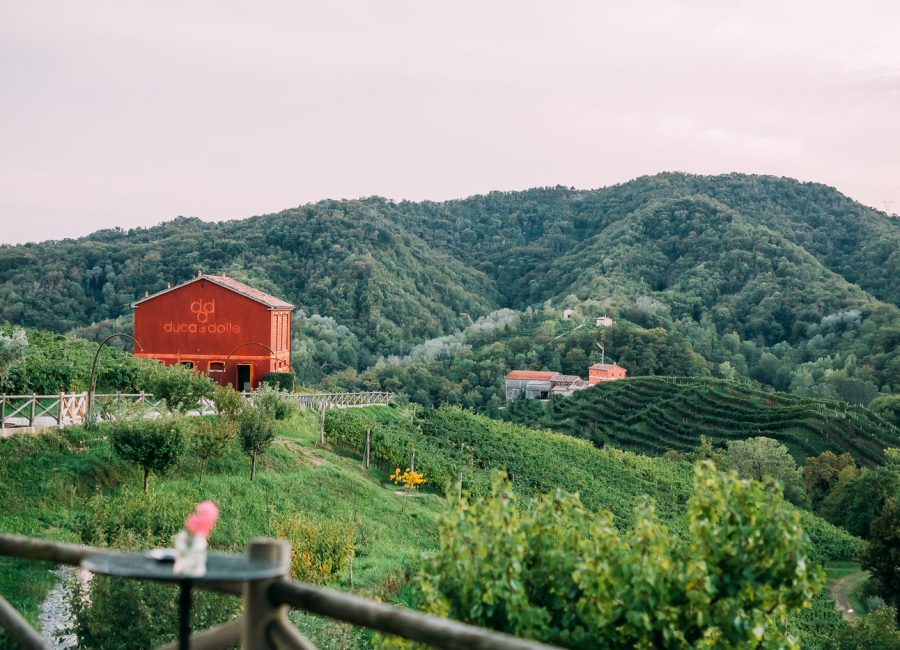 Evento Privato Valdobbiadene