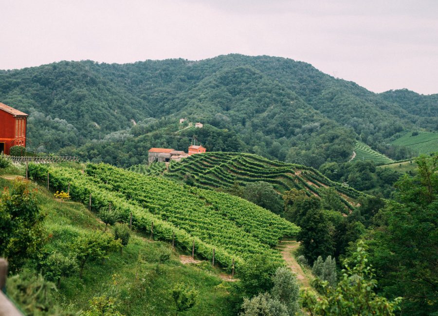 Evento Privato Valdobbiadene