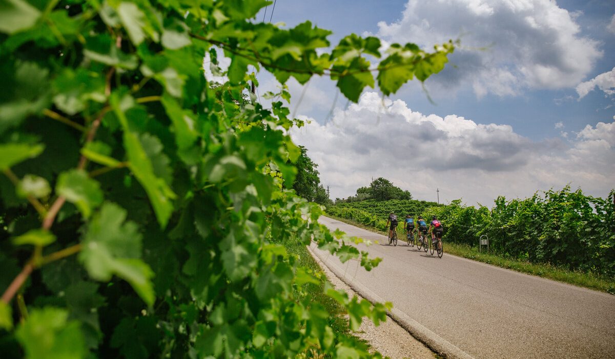 Montello-Colline-Bike-Tour-3-Valdobbiadene-Italy-Cycling-Tour.jpeg