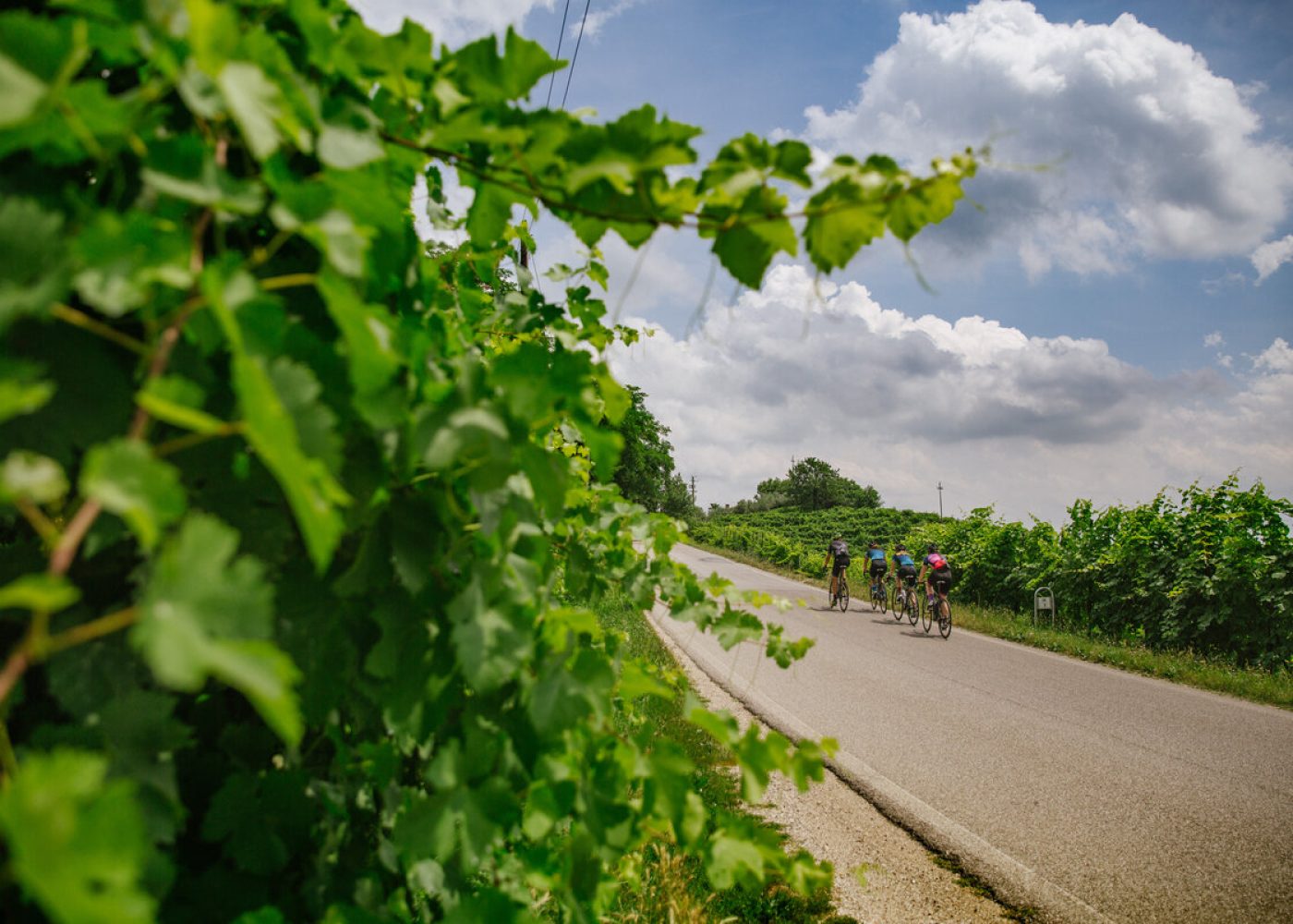 Montello-Colline-Bike-Tour-3-Valdobbiadene-Italy-Cycling-Tour.jpeg
