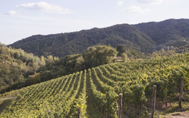 Prosecco docg - Conegliano Valdobbiadene - Duca di Dolle_1