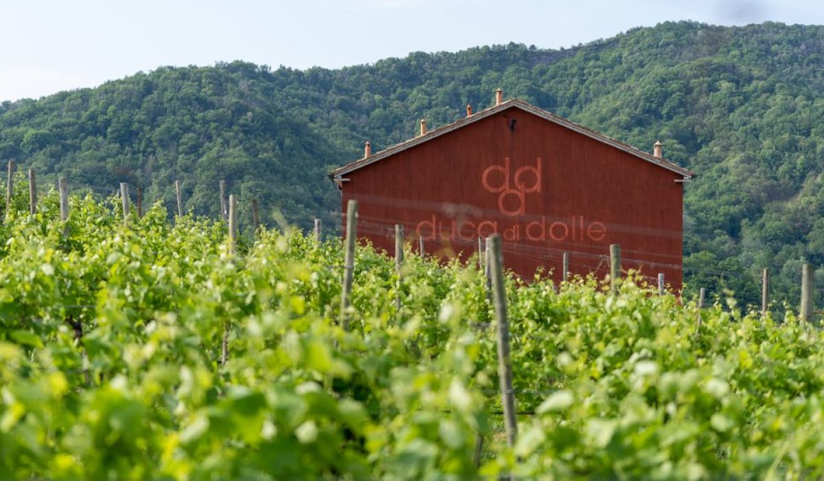 Selezioni DDD 14.05.22©Sebastiano Corrò-03181