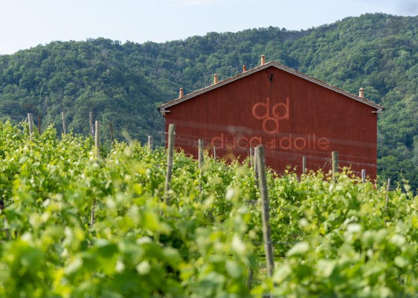 Selezioni DDD 14.05.22©Sebastiano Corrò-03181