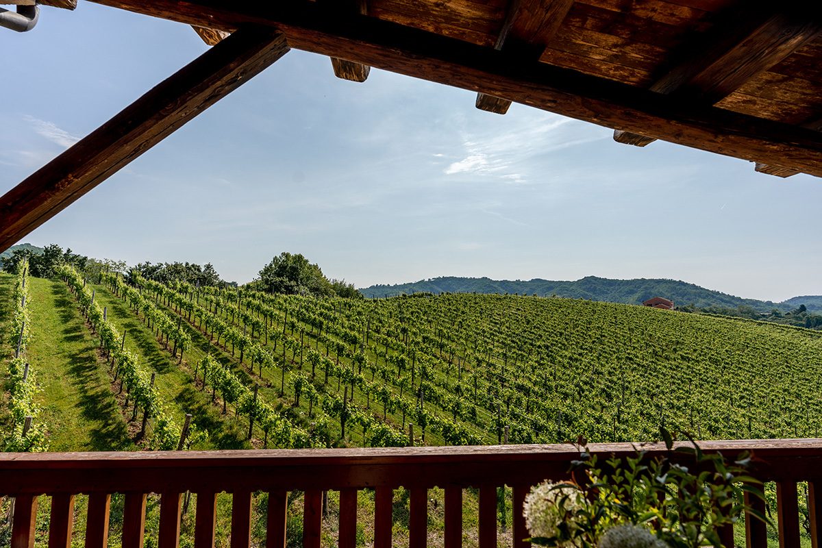 Selezioni DDD 14.05.22©Sebastiano Corrò-03216