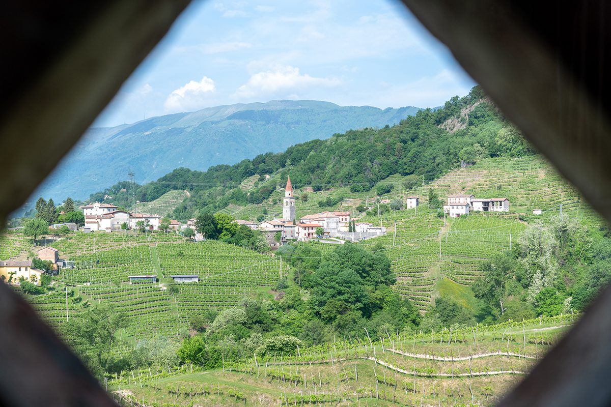 Selezioni DDD 14.05.22©Sebastiano Corrò-2490