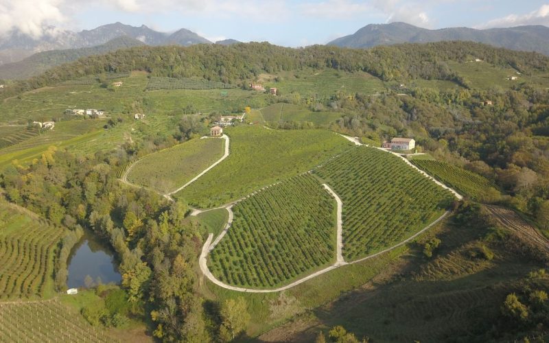 Tenuta - Prosecco docg - Duca di Dolle_1