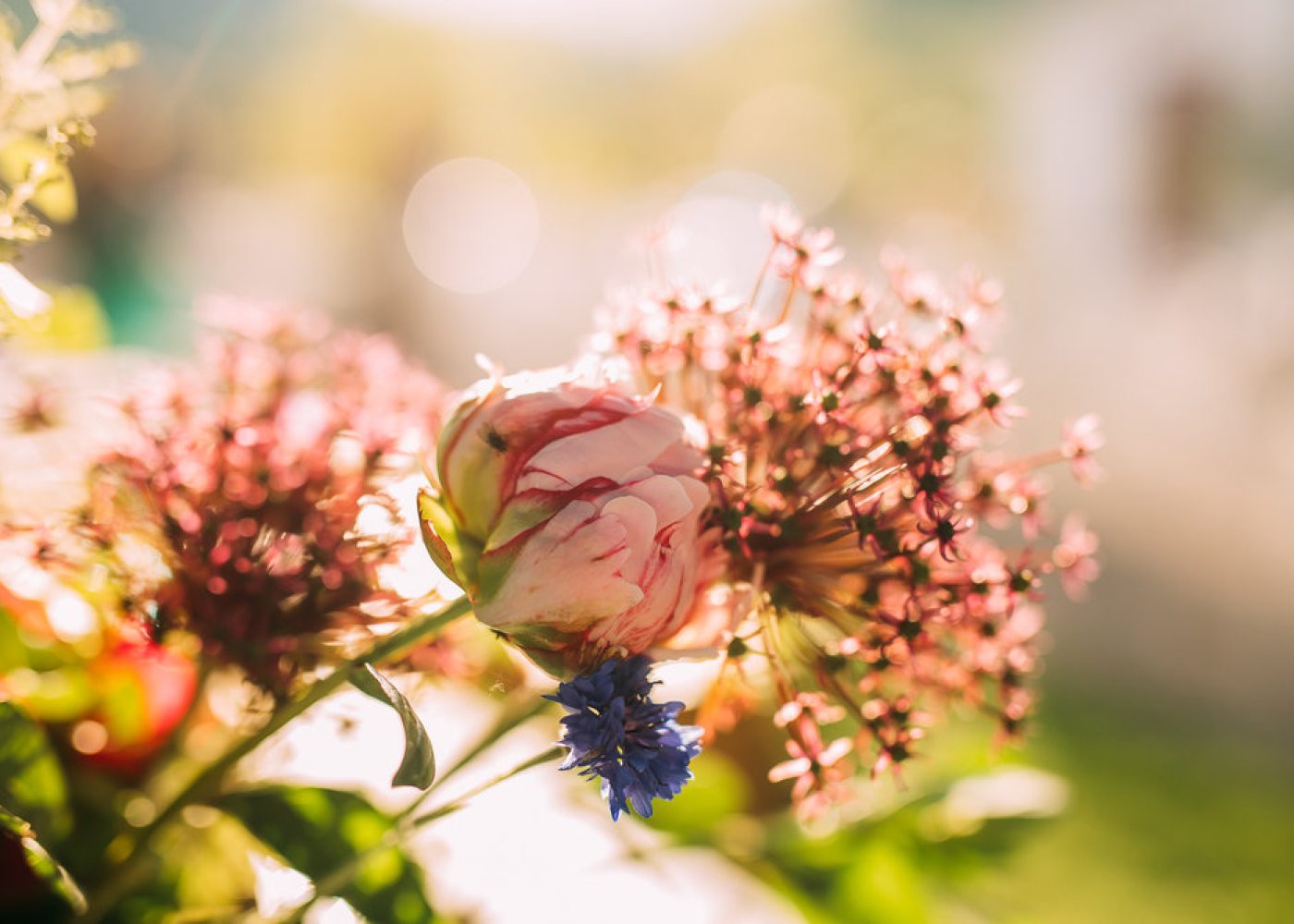 duca di dolle - colline prosecco conegliano valdobbiadene - early bird promo (3)