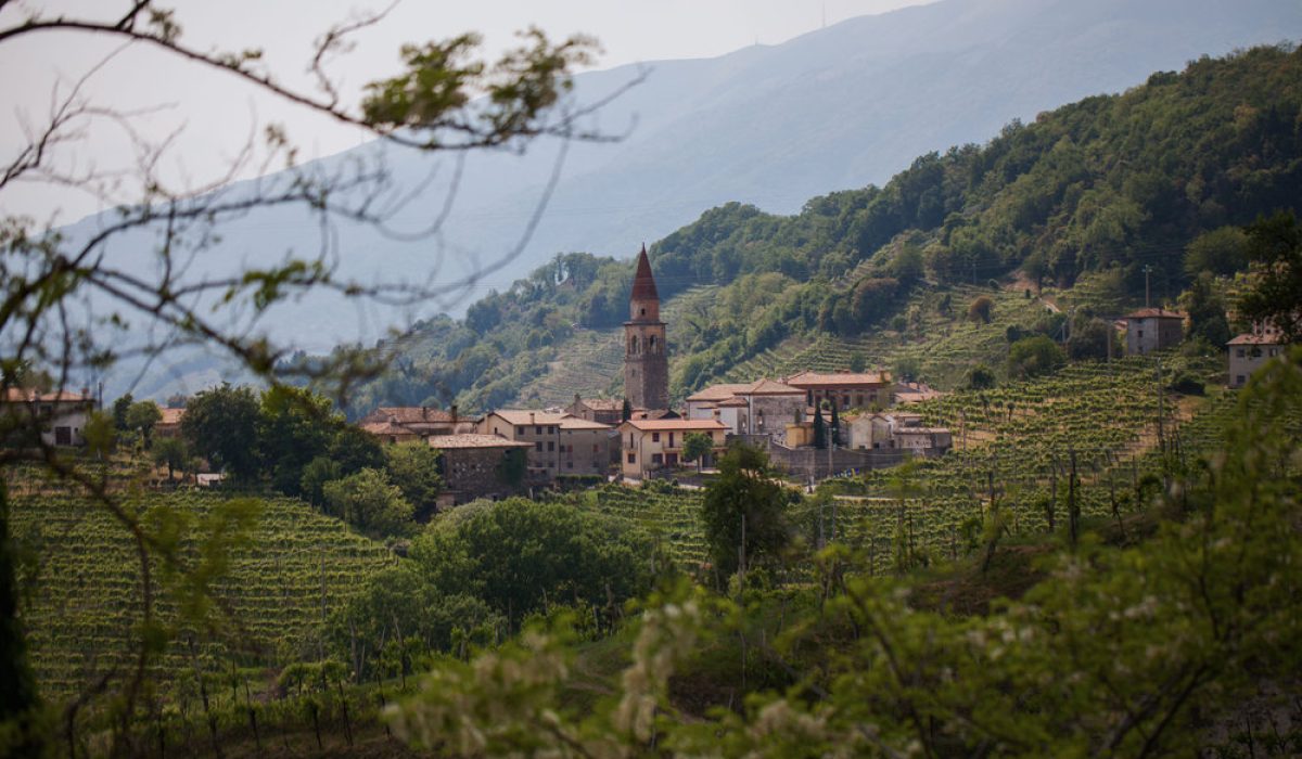 duca di dolle - colline prosecco conegliano valdobbiadene - early bird promo (9)