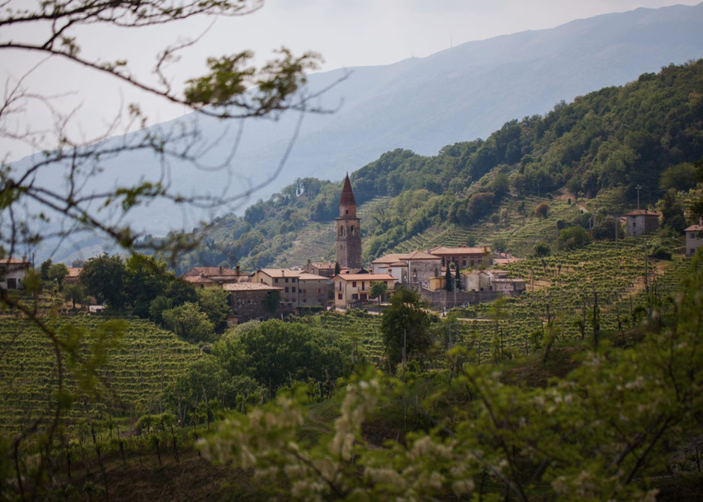 duca di dolle - colline prosecco conegliano valdobbiadene - early bird promo (9)