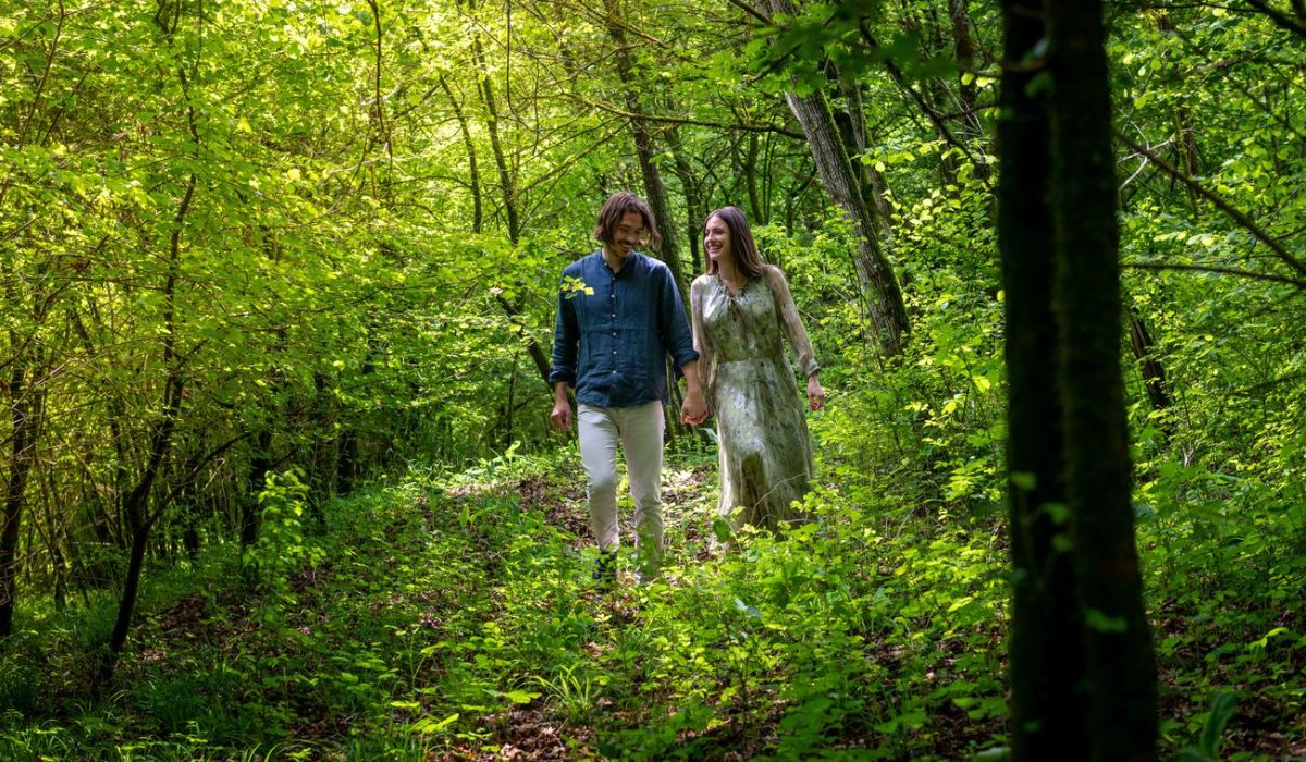 ducadidollewineforestbathing (2)