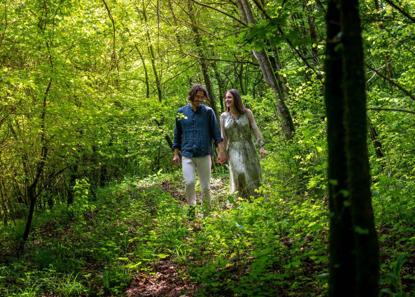 ducadidollewineforestbathing (2)