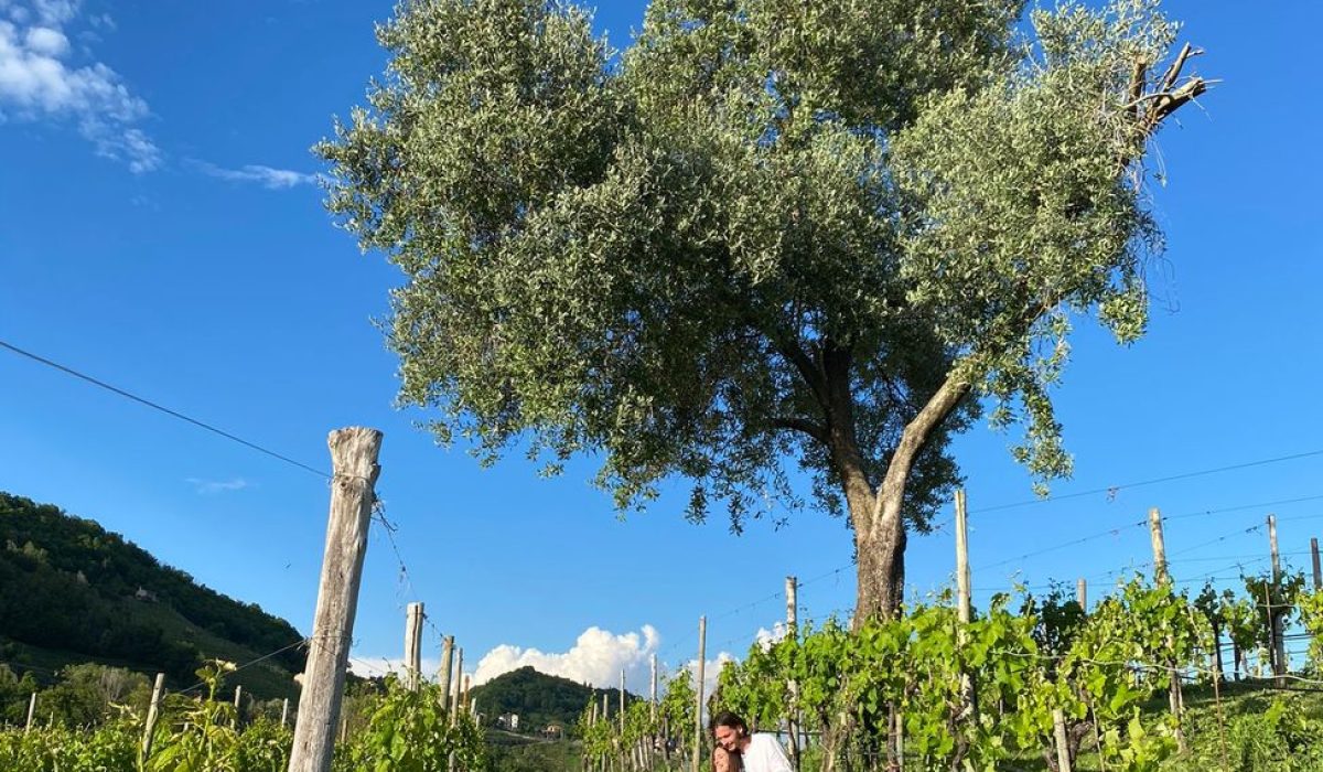 ducadidollewineforestbathing (3)