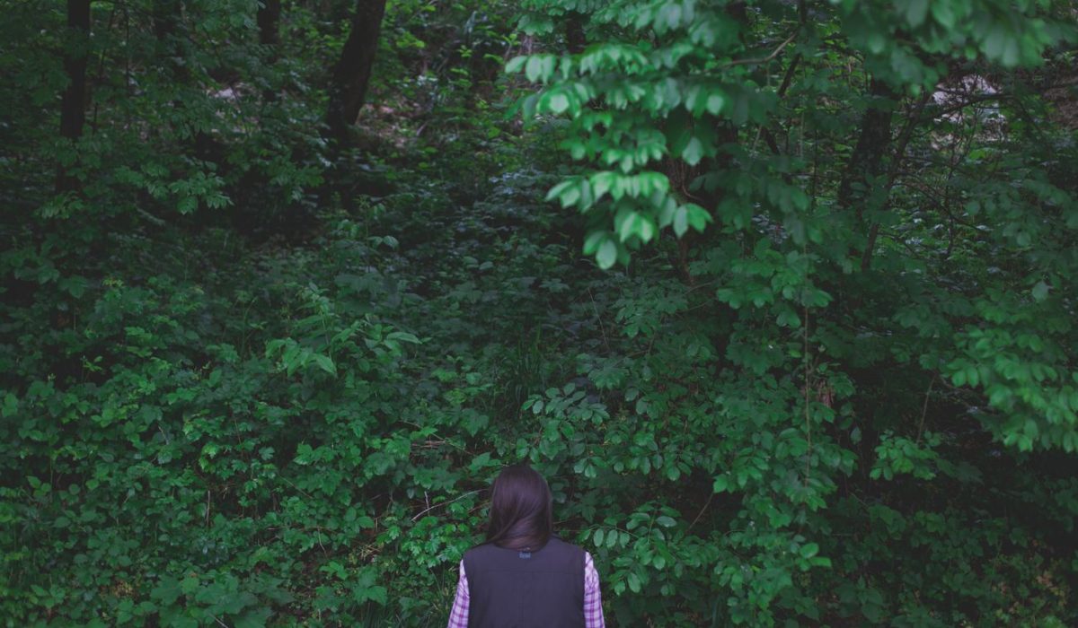 ducadidollewineforestbathing (4)