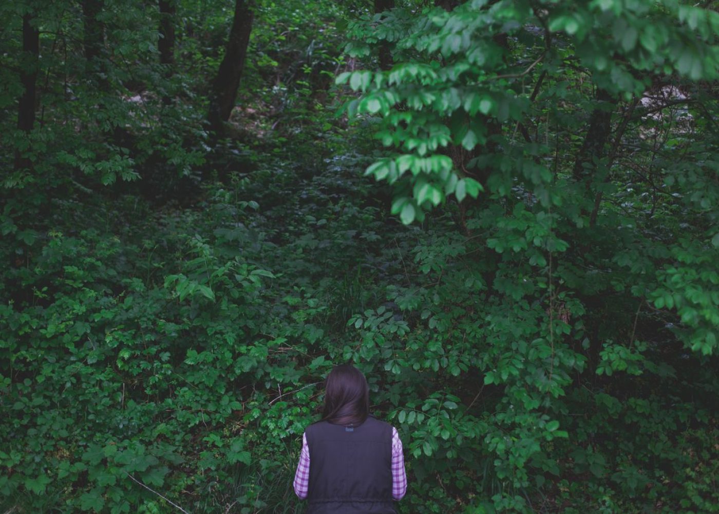 ducadidollewineforestbathing (4)