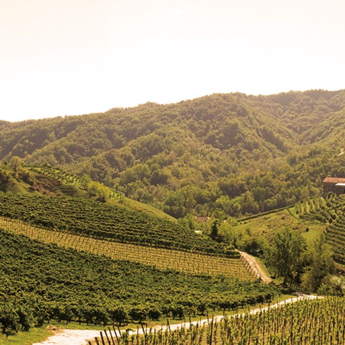 il-terreno-duca-di-dolle